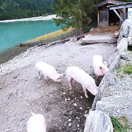 Apart Gerlossteinblick Aschau Im Zillertal Esterno foto