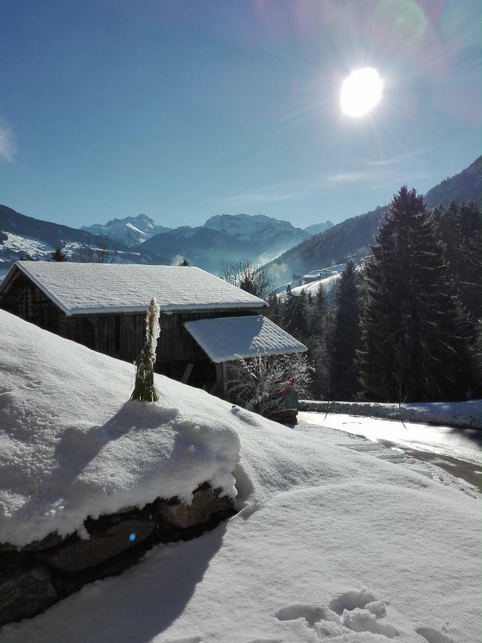 Apart Gerlossteinblick Aschau Im Zillertal Esterno foto